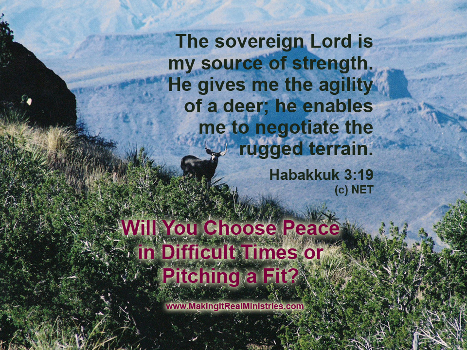 Will You Choose Peace in Difficult Times or Pitching a Fit?
