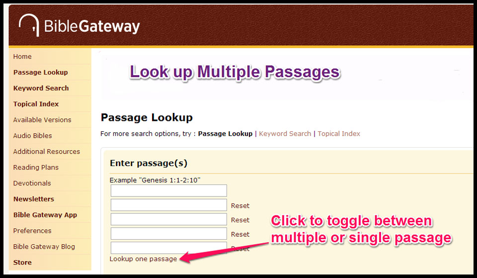 MultiPassageLookupScreenWeb