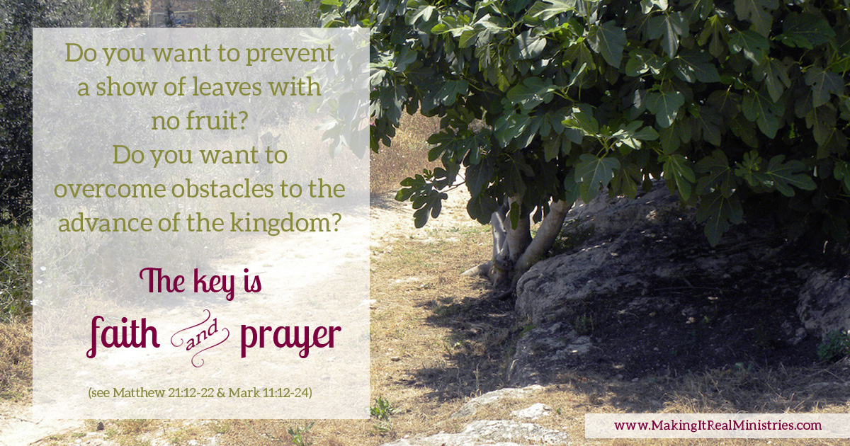 How God Got My Attention with a Fruitless Fig Tree